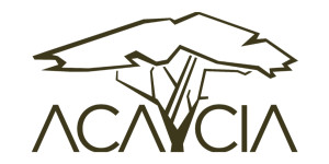 Acaycia Digital Agency