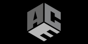 The ACE Agency