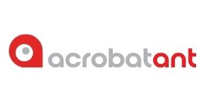 AcrobatAnt