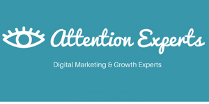 Attention Experts