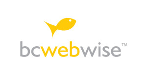 BC WEB WISE PVT LTD