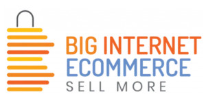 Big Internet Seller Services Inc