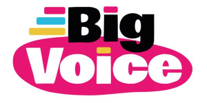 Big Voice Ltd