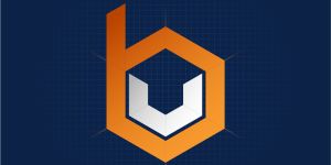 BizVenture Marketing