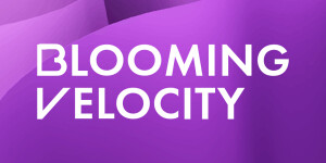 Blooming Velocity