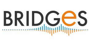 Bridges M&C Pte Ltd