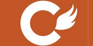 Copperwing