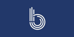 Criterion.B
