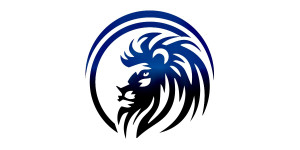 Digital Kings Networking