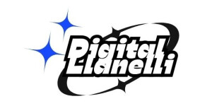 Digital Llanelli