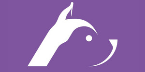 Huskee Digital