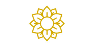 Innovkraft Inc