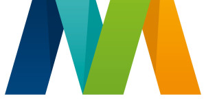 Mantthan Web Solutions LLP