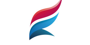 NewFlow Web