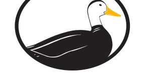 Odd Duck Media