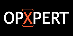 On Page Xpert