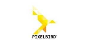 Pixelbird