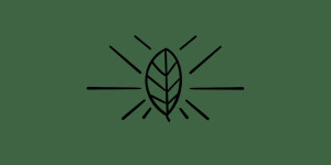 Plant Powered Marketing