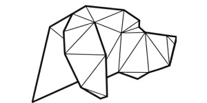 Pointer Digital
