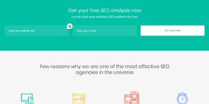 Search Focus