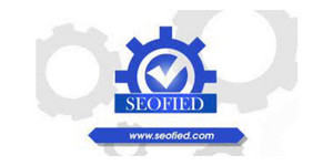 SEOFIED IT SERVICES