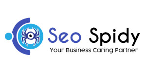 Seospidy Web Solution