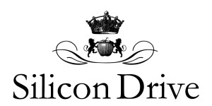 Silicon Drive
