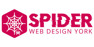 Spider Web Designs