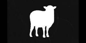 The Black Sheep Agency