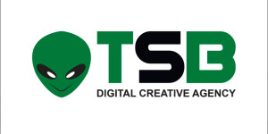 The Social Being LLC