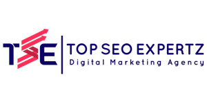 Top SEO Expertz