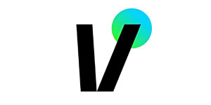 Vivid Creative Studio LLC
