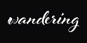 Wandering Design Studio