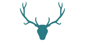 Web Antler