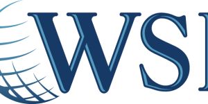 WSI-Optimized Web Solutions