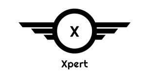 Xpert SEO Team