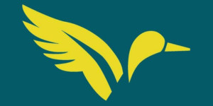 Yellow Duck Marketing