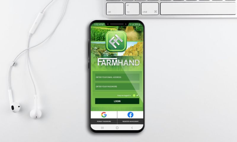 SEO, Google Ads, Social Media Ads