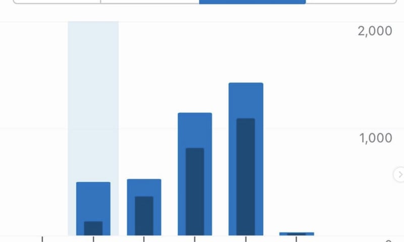 Website Launch Supplemented with Digital Ads