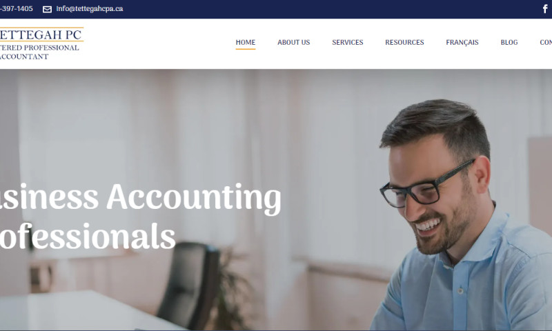 CA Firm Full Website Design with SEO