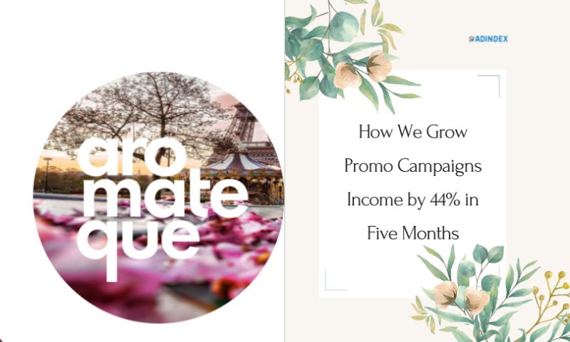 How We Grow Promo Campaigns Income by 44% in Five Months