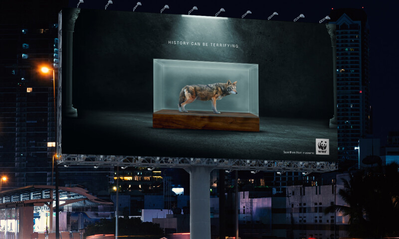 WWF Awareness Campaign