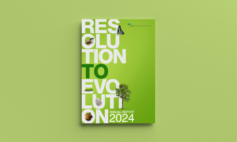 Annual Report Design