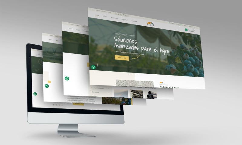 Sitio web TICSA