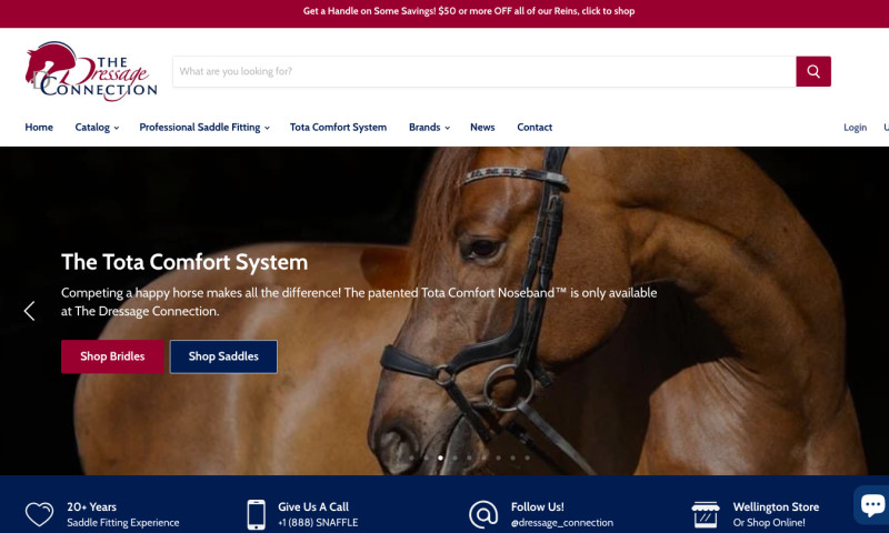 The Dressage Connection