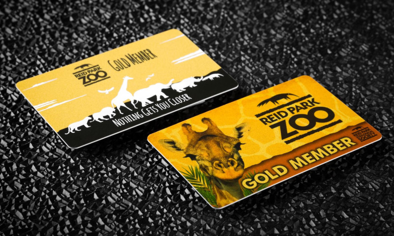 Membership Cards