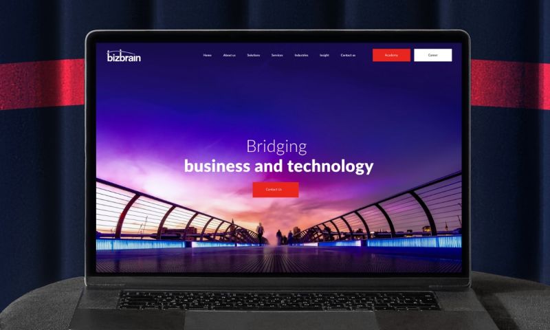 BIZBRAIN