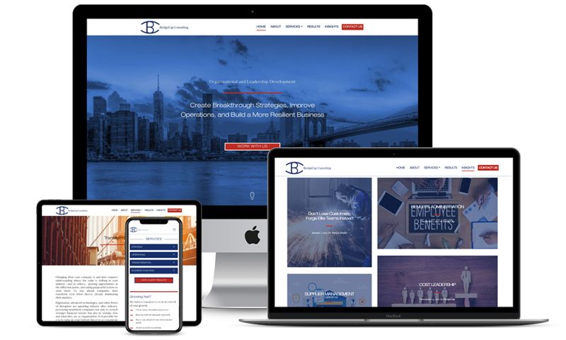 BridgeCap Consulting