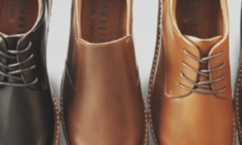 Deer Stags