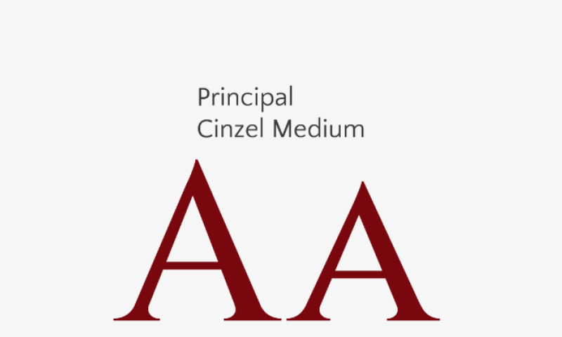 Brand Identity